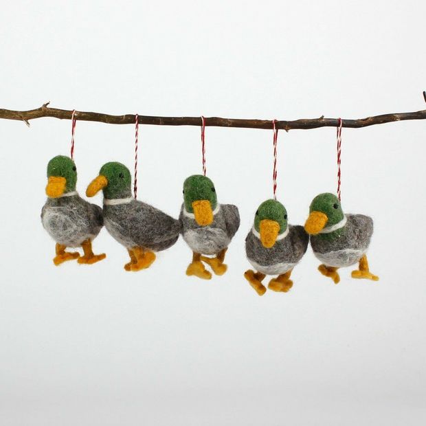 Hanger Eend divers