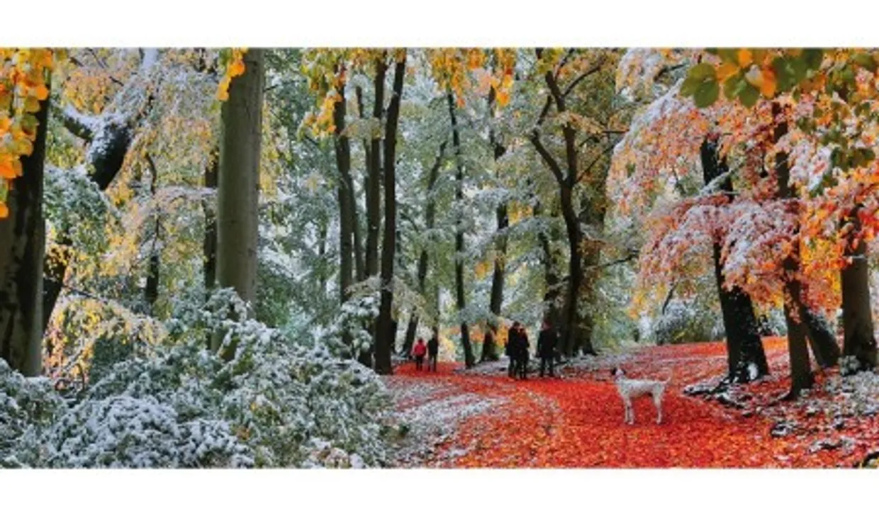 Puzzel - Snow in Autumn (636)