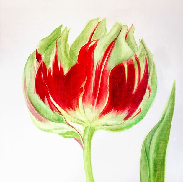 Uniek schilderij Botanische Tulp - Anita Gaasbeek