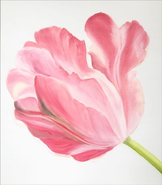 Botanische roze tulp - schilderij Anita Gaasbeek
