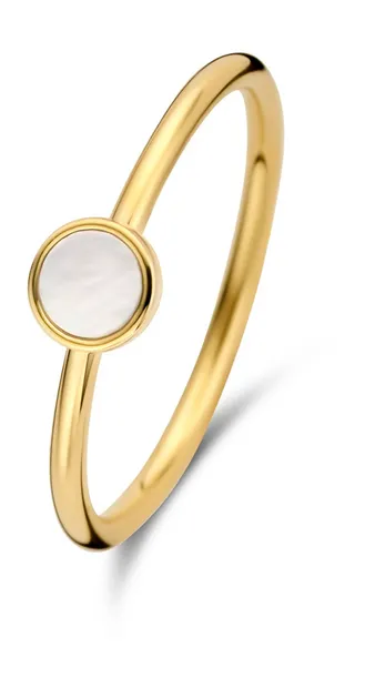 Belleville Nova 14 Karaat Gouden Ring IB330010-58 (Maat: 58)