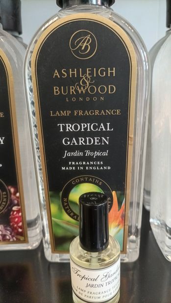 lamp fragrance tropical garden
