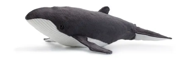 bultrug walvis 33 cm