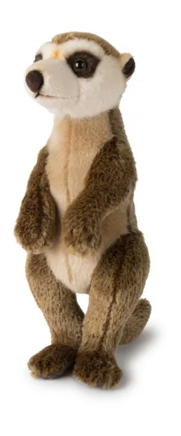 meerkat 30 cm