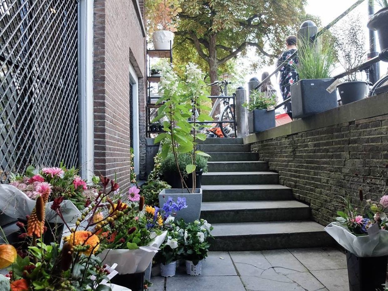 Assortiment | Bloemenatelier In De Roos Vismarkt | Warenhuis Groningen