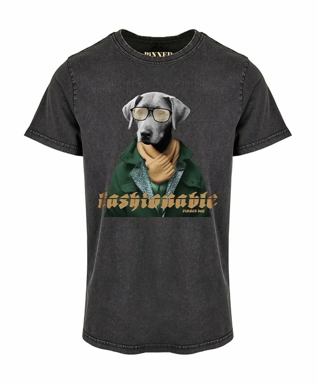 T-shirt Pinned dog washed grey