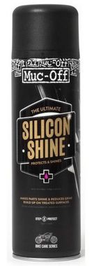 Silicon Shine
