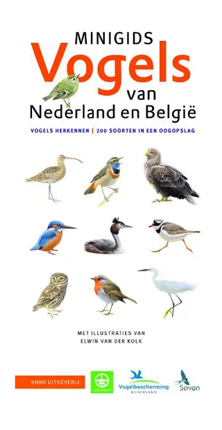 Natuurgids Minigids Vogels van Nederland en België | KNNV Uitgeverij