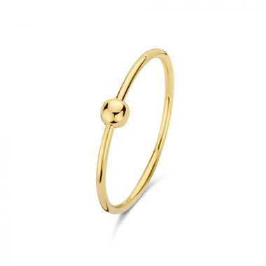 Belleville Odette 14 Karaat Gouden Ring IB330027-50