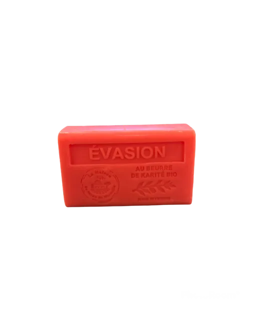Evasion