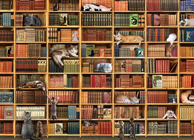 Puzzel - The Cat Library (1000)