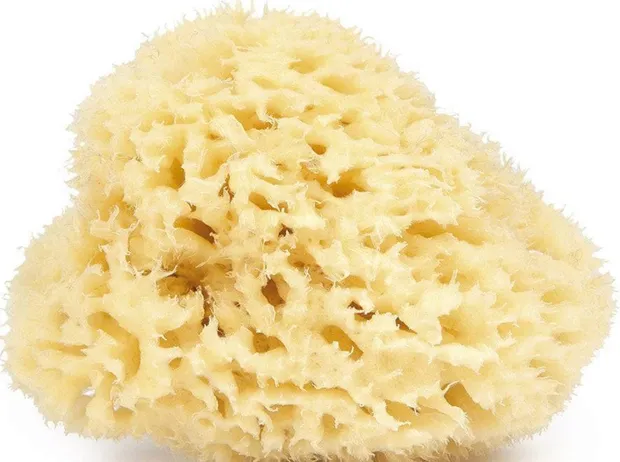 Najel natuurlijke spons 9-10cm