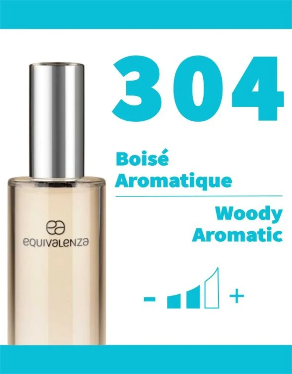 304 - Woody Aromatic 100ml