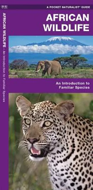 Natuurgids Africa Wildlife an introduction to familiar species | Water