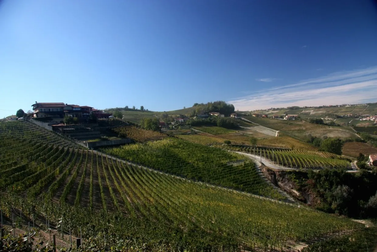 Proefdoos wijnhuis Parusso | Piemonte | Italië